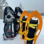 Aurora Igloo Apartmán *