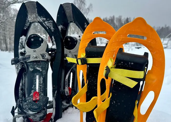 Aurora Igloo 公寓 *